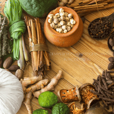 Demystifying Adaptogens: An Introduction