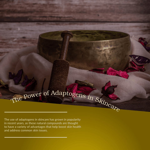 The Power of Adaptogens in Skincare