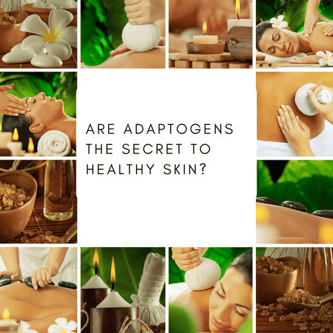 Are Adaptogens the Secret to Healthy Skin?