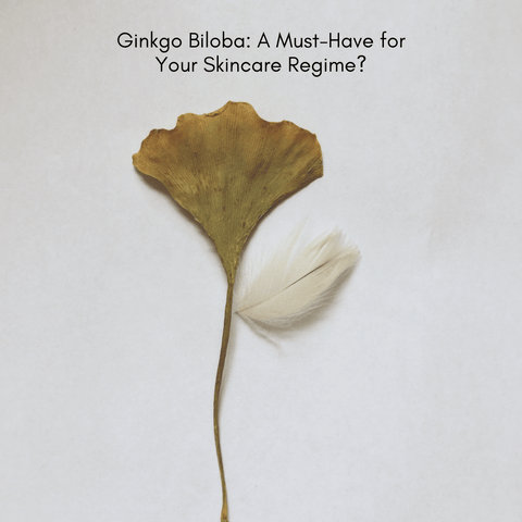 Ginkgo Biloba: A Must-Have for Your Skincare Regime?