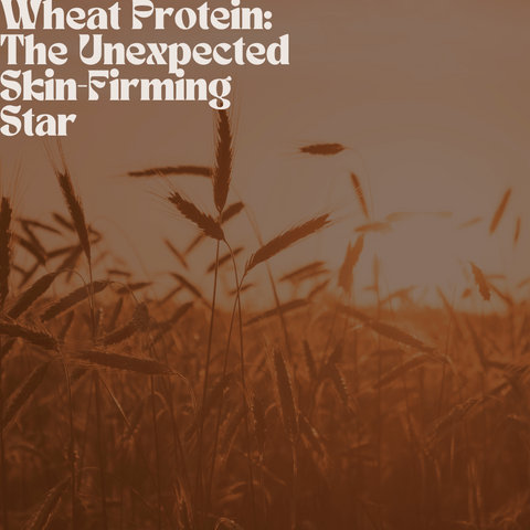 Wheat Protein: The Unexpected Skin-Firming Star