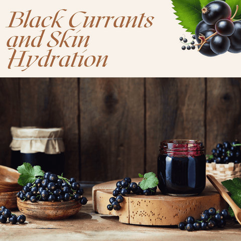 Black Currants and Skin Hydration