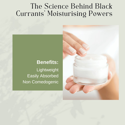 The Science Behind Black Currants' Moisturising Powers