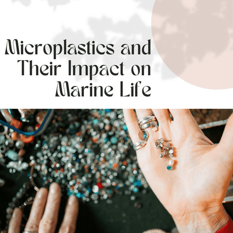 Microplastics and Their Impact on Marine Life