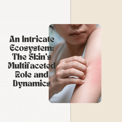 An Intricate Ecosystem: The Skin’s Multifaceted Role and Dynamics