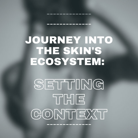 Journey into the Skin's Ecosystem: Setting the Context