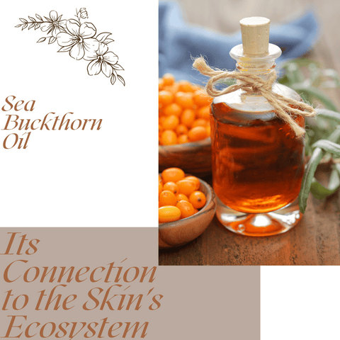 Sea Buckthorn Oil and Its Connection to the Skin's Ecosystem