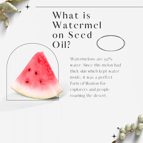 What is Watermelon Seed Oil?