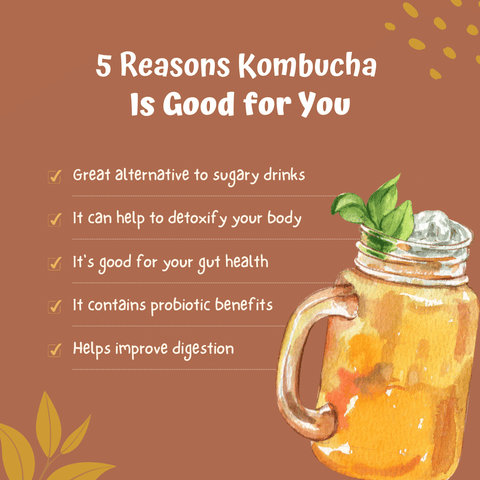 Kombucha: The Brewed Marvel for Skin