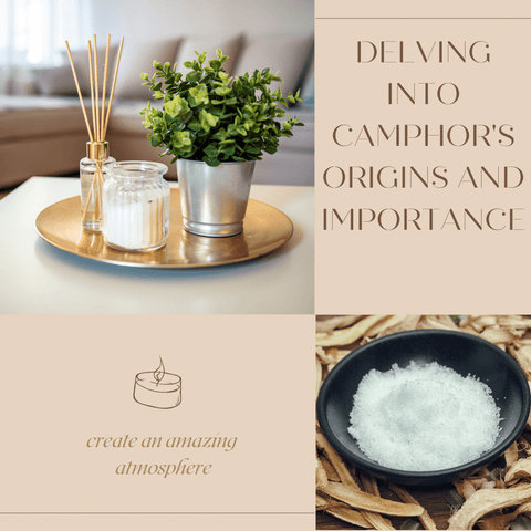 Delving into Camphor's Origins and Importance