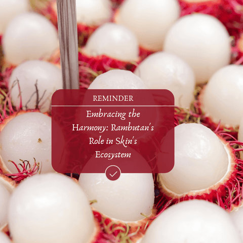 Embracing the Harmony: Rambutan's Role in Skin's Ecosystem