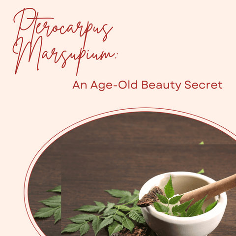 Pterocarpus Marsupium: An Age-Old Beauty Secret