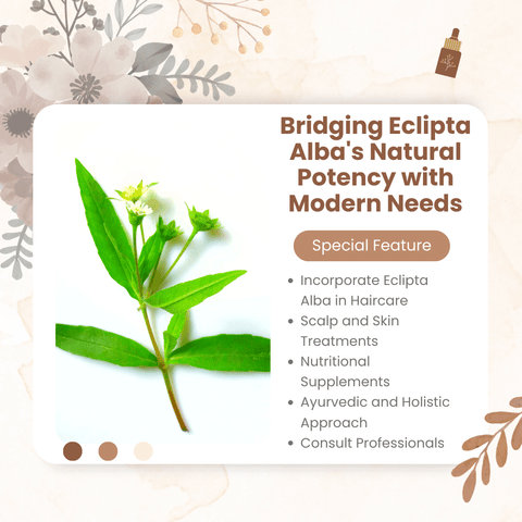 Bridging Eclipta Alba's Natural Potency with Modern Needs