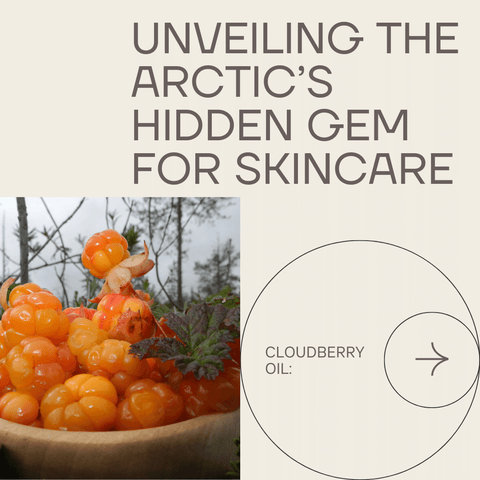 Cloudberry Oil: Unveiling the Arctic’s Hidden Gem for Skincare