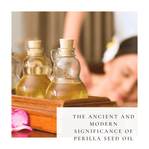 The Ancient and Modern Significance of Perilla Seed Oil