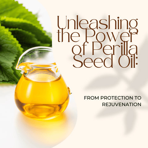 Unleashing the Power of Perilla Seed Oil: From Protection to Rejuvenation