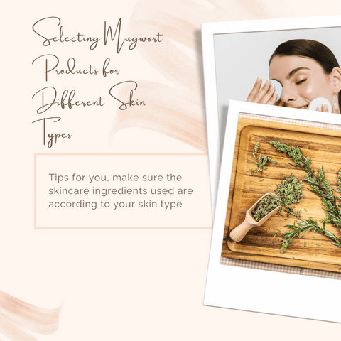 Selecting Mugwort Products for Different Skin Types