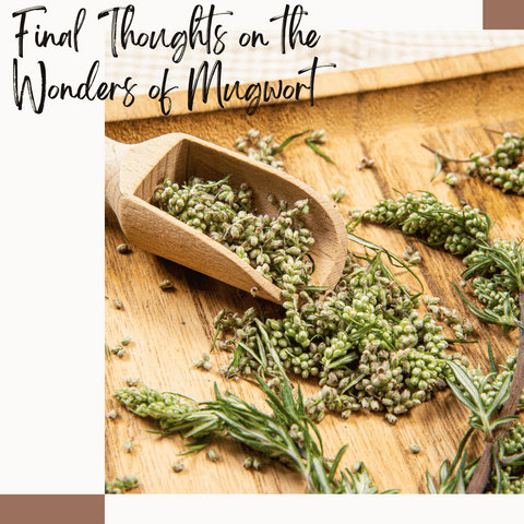 Final Thoughts on the Wonders of Mugwort