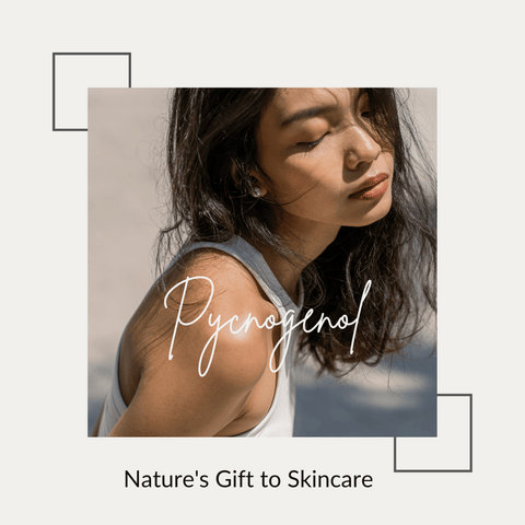 Pycnogenol – Nature's Gift to Skincare