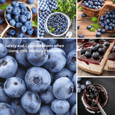 Safety and Considerations when Using Vitis Vinifera Products