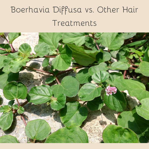 Boerhavia Diffusa vs. Other Hair Treatments