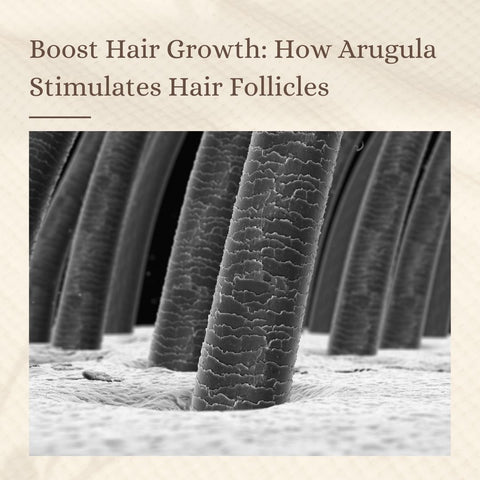 Boost Hair Growth: How Arugula Stimulates Hair Follicles