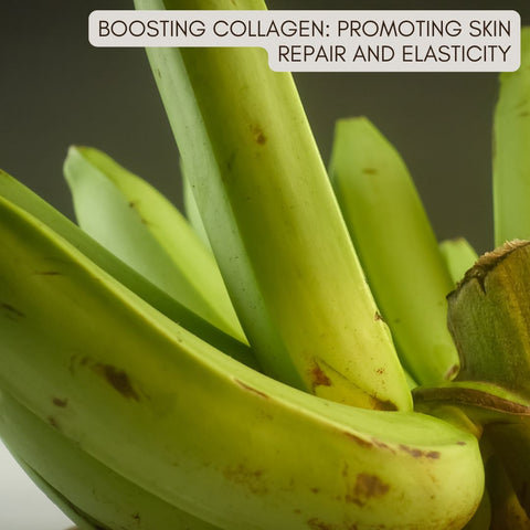 Boosting Collagen: Promoting Skin Repair and Elasticity