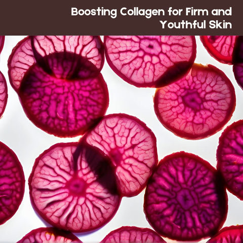 Boosting Collagen for Firm and Youthful Skin
