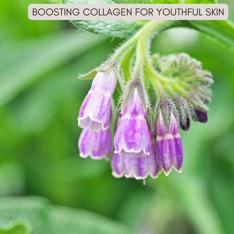 Boosting Collagen for Youthful Skin