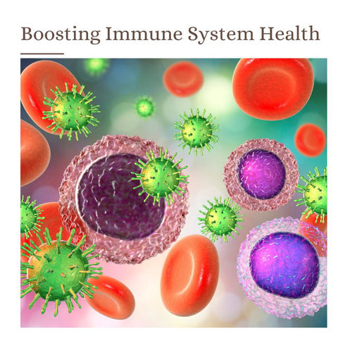 Boosting Immune System Health