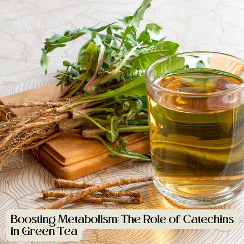 Boosting Metabolism: The Role of Catechins in Green Tea