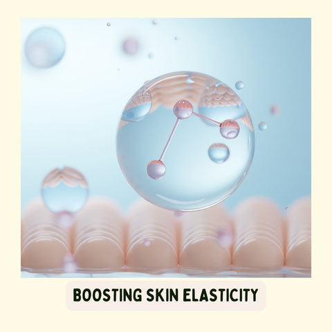 Boosting Skin Elasticity