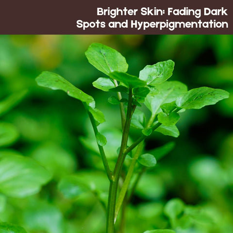 Brighter Skin: Fading Dark Spots and Hyperpigmentation
