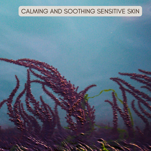 Calming and Soothing Sensitive Skin