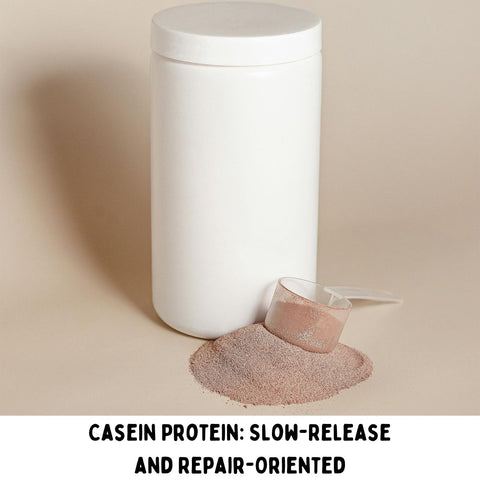 Casein Protein: Slow-Release and Repair-Oriented