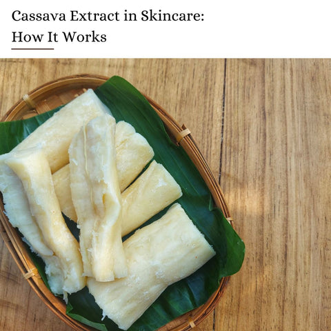 Cassava Extract in Skincare: How It Works