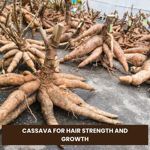 Cassava for Hair Strength and Growth