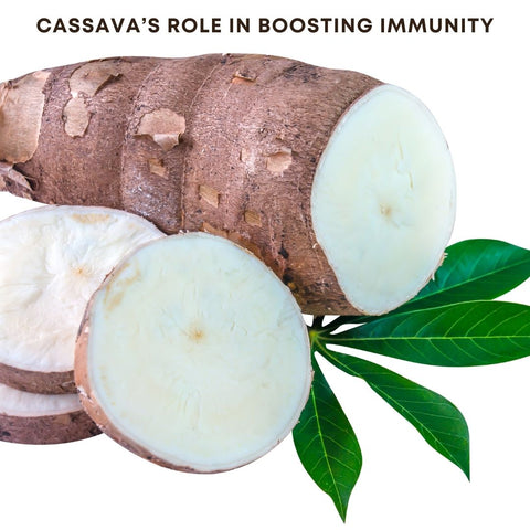 Cassava’s Role in Boosting Immunity