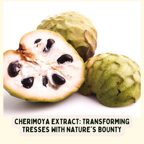Cherimoya Extract: Transforming Tresses with Nature's Bounty