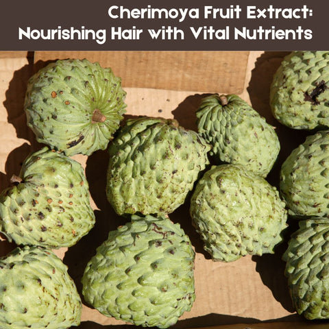 Cherimoya Fruit Extract: Nourishing Hair with Vital Nutrients