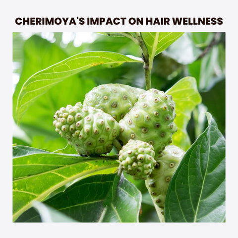 Cherimoya's Impact on Hair Wellness