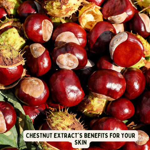 Chestnut Extract's Benefits for Your Skin