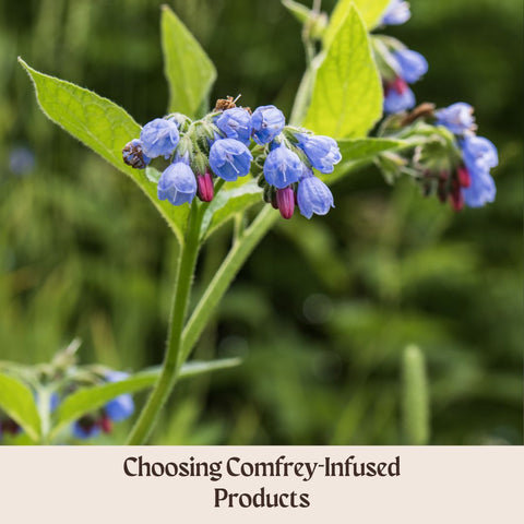 Choosing Comfrey-Infused Products