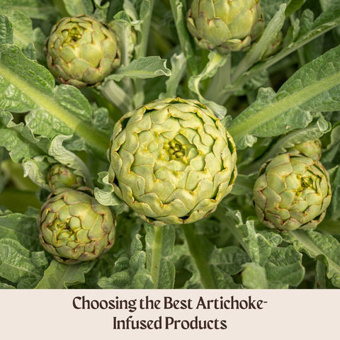 Choosing the Best Artichoke-Infused Products