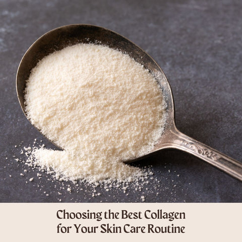 Choosing the Best Collagen for Your Skin Care Routine
