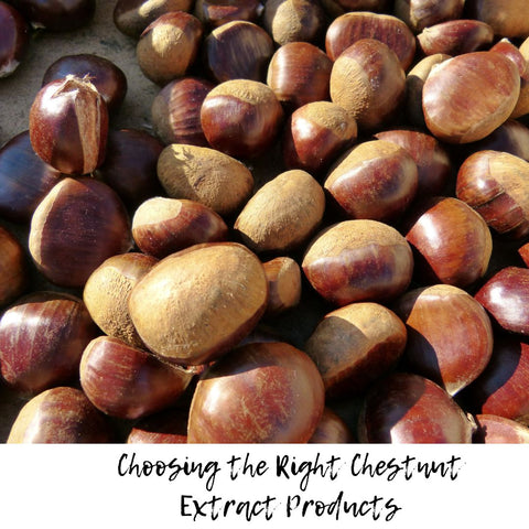 Choosing the Right Chestnut Extract Products