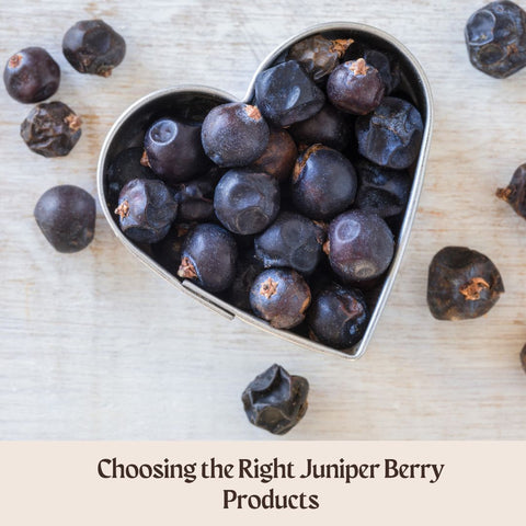 Choosing the Right Juniper Berry Products