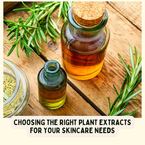 Choosing the Right Plant Extracts for Your Skincare Needs