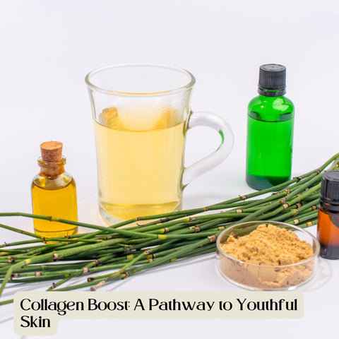 Collagen Boost: A Pathway to Youthful Skin