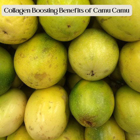 Collagen Boosting Benefits of Camu Camu